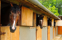 free Slade Heath stable construction quotes